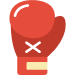 mma